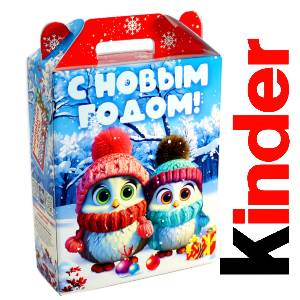 Сладкий новогодний подарок  в картонной упаковке весом 810 грамм по цене 1997 руб